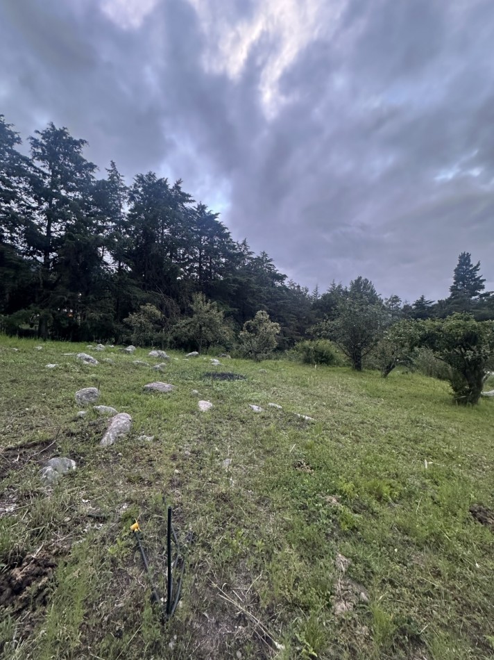 LA QUEBRADITA, TAFI DEL VALLE